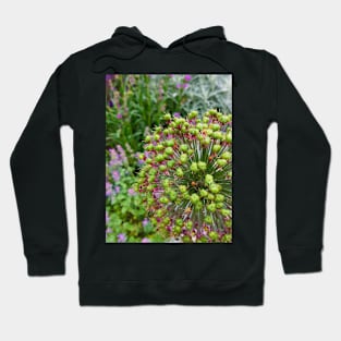 nature in the form of wildflowers Hoodie